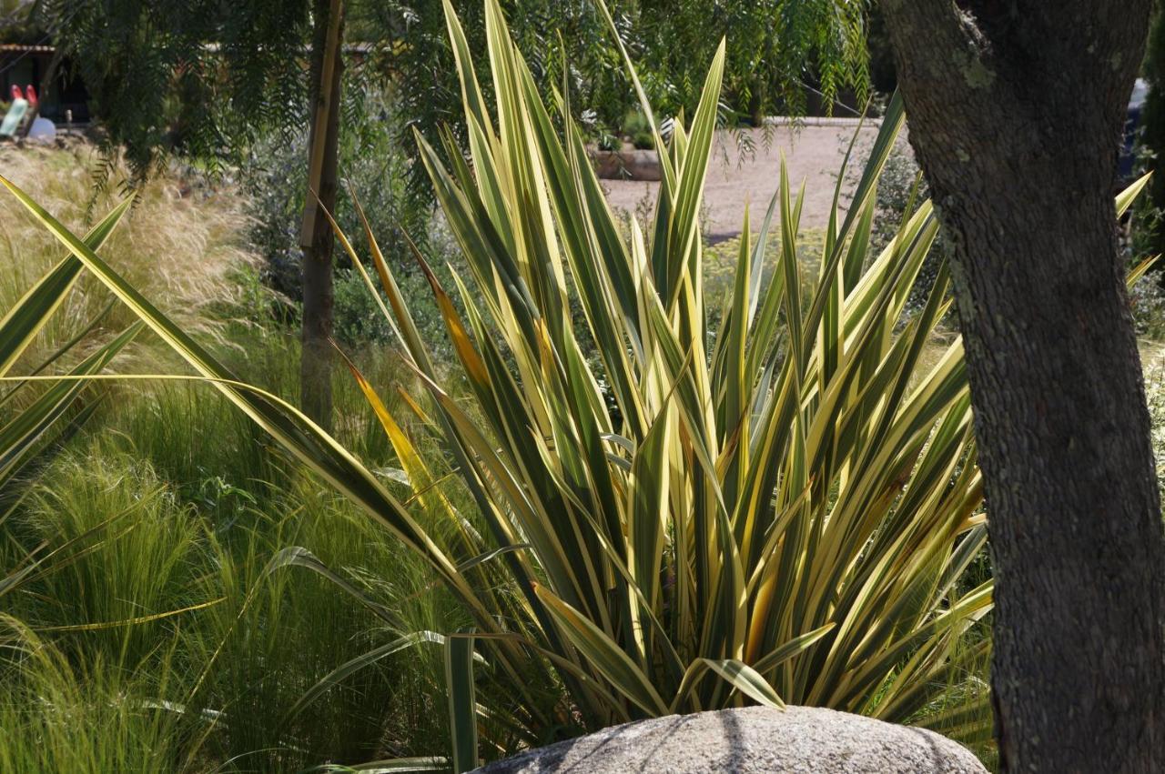 Les Jardins De Santa Giulia - Charmante Chambre D'Hote بورتو فيكشْيو المظهر الخارجي الصورة